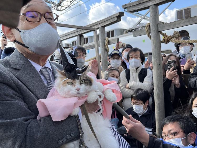 Potret Nitama, Kucing Gemas yang Jadi Kepala Kuil di Jepang