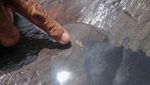 Obok-obok Sungai demi Emas Rp 450 Ribu/Gram