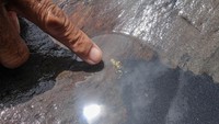 Warga menunjukan hasil dari mendulang emas di aliran Sungai Cisero, Tanjung Sari, Kabupaten Bogor, Jawa Barat.