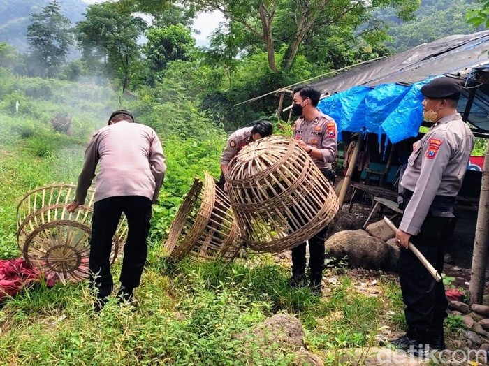 Penggerebekan sabung ayam di Situbondo