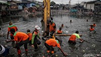 Saat ini sampah-sampah tersebut sedang dibersihkan oleh petugas Dinas Lingkungan Hidup, PPSU dan dibantu dengan pasukan TNI. Diperkirakan pembersihan sampah ini akan dilalukan hingga sepekan lebih, karena tumpukan sampah yang telah mencapai panjang 400 meter lebih.