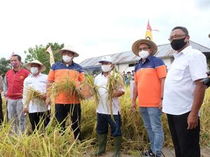 Dukung Produktivitas Pertanian, Ini 3 Program Makmur Pupuk Kaltim