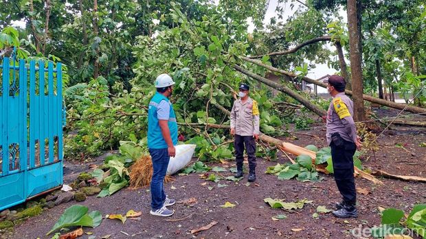 puting beliung di banyuwangi