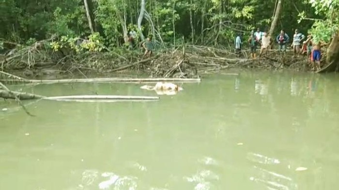 Tim SAR gabungan menemukan pria tewas di sungai di Sulut