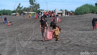 Ratusan orang berpakaian khas Bali memunguti sampah di pinggir pantai Parangkusumo, Bantul. Tampak beberapa dari mereka memunguti sampah dengan tongkat yang memiliki ujung runcing. 