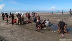 Jelang Melasti, Umat Hindu Yogya Bersihkan Pantai Parangkusumo