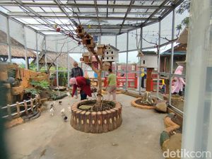 Lagi Hits di Ciamis! Kebun Binatang Mini Saung Abah Apud