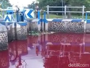 Fakta-fakta Air Sungai Mojoranu Jombang Berwarna Merah Darah Hanya 5 Jam