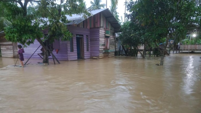Banjir di Aceh Timur