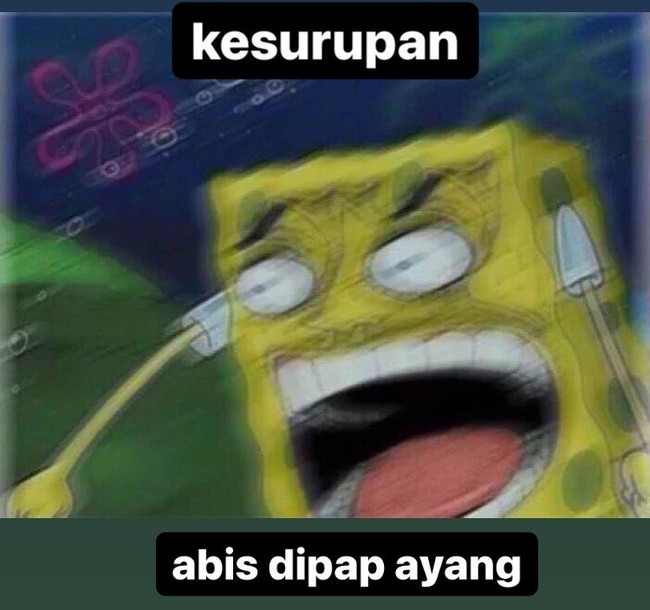 Lihat story ayang aja udah bikin senyum-senyum sendiri, apalagi kalauu dikasih pap sama ayang. Gini deh jadinya, langsung kayak kesurupan. Foto: Twitter