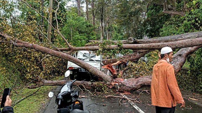 Mobil tertimpa pohon di Sukabumi.