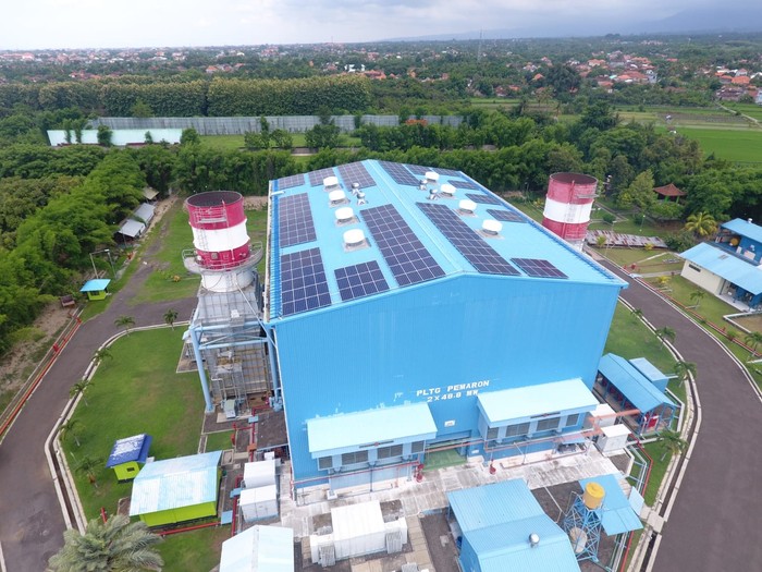 PLN