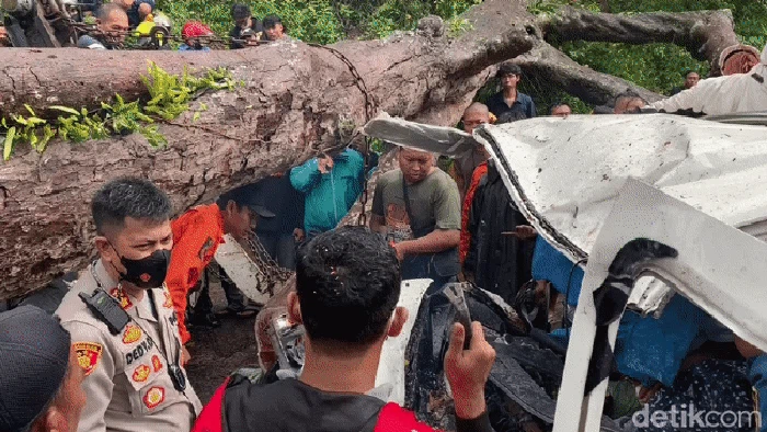 Pohon tumbang timpa pikap di Sukabumi.