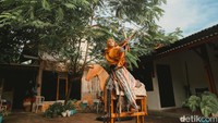 Arum Nazlus Shobah adalah gadis kelahiran 14 Mei 2008, lulusan SD Islam Terpadu As Salamah, Pamulang, 2020. Dua tahun belakangan ini, dia berkonsentrasi untuk latihan panahan berkuda. Dia akan melanjutkan sekolah kembali di pondok pesantren yang juga menyediakan aktivitas panahan berkuda, di Bogor.