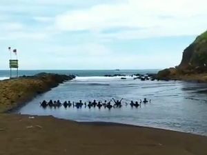 Heboh Ritual di Pantai Jember Kembali Terjadi