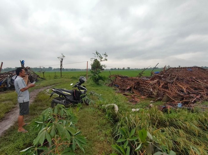 Hujan disertai angin kencang menyebabkan belasan bangunan di dua desa Kecamatan Nguling, Kabupaten Pasuruan rusak. Dua bangunan kandang ayam ambruk.