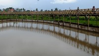 Jembatan bambu yang membentang dan arena permaianan anak menjadi daya tarik lainnya. (ARIF FIRMANSYAH/ARIF FIRMANSYAH)