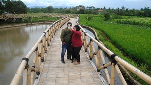 Satu Lagi Wisata Kuliner Tepi Sawah di Bogor