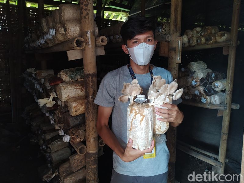 Wisata dan edukasi olahan Jamur Borobudur di Dusun Jowahan, Desa Wanurejo, Kecamatan Borobudur, Sabtu (26/2/2022).