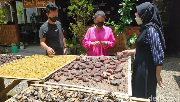 Wisata dan edukasi olahan Jamur Borobudur di Dusun Jowahan, Desa Wanurejo, Kecamatan Borobudur, Sabtu (26/2/2022).