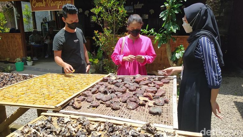 Wisata dan edukasi olahan Jamur Borobudur di Dusun Jowahan, Desa Wanurejo, Kecamatan Borobudur, Sabtu (26/2/2022). Wisata dan edukasi olahan Jamur Borobudur di Dusun Jowahan, Desa Wanurejo, Kecamatan Borobudur, Sabtu (26/2/2022).