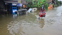 Seorang pengendara motor nekat menerobos banjir.