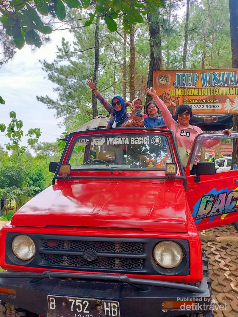 Puncak Pinus Becici, lokasi persewaan jeep