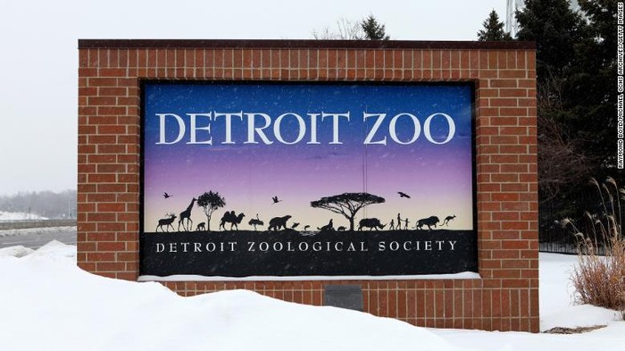 Detroit Zoo