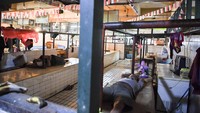 Seluruh pedagang di pasar tersebut melakukan aksi mogok berjualan selama lima hari sejak Senin (28/2) akibat terus melonjaknya harga daging sapi yang mencapai Rp140.000 per kilogram.