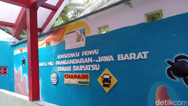 Penangkaran penyu di Pantai Batu Hiu.