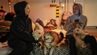 Mereka juga membawa hewan peliharannya untuk ikut berlindung. AP Photo/Vadim Ghirda  