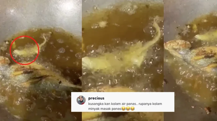 Asyik Goreng Ikan, Netizen Ini Kaget Dapat Bonus Gratis yang Bikin Ngakak