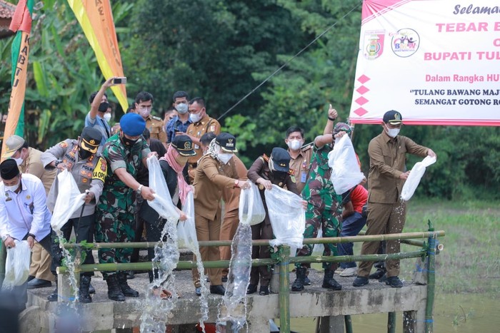 Bupati Tulang Bawang Tebar Benih Ikan