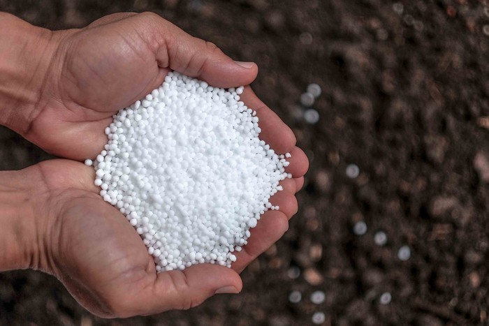 Ilustrasi Urea Granul
