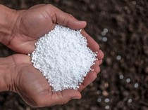 Dukung Cetak 3 Juta Ha Sawah, Pabrik Pupuk Rp 25 T Dibangun di Papua