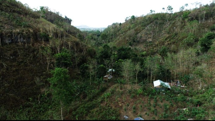 Pengembangan Pariwisata Hutan Bowosie Akan Serap 10 Ribu Tenaga Kerja