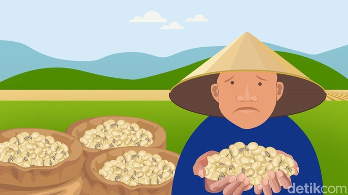 Ilustrasi petani kedelai melawan kedelai impor.
