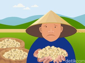 Mereduksi Ketergantungan Impor Kedelai