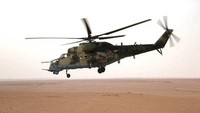 Helikopter Mi-24 dirancang untuk mendukung serangan udara jarak dekat, untuk membatu pasukan darat melawan target lapis baja. Helikopter ini juga bisa difungsikan sebagai kendaraan angkut personel tentara. Bobot helikopter ini mencapai 8.400 kg dengan daya angkut maksimal 2.400 kg. AFP/DOMINIQUE DERDA.