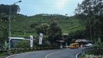 Puncak Hari Ini Lengang Usai Macet Horor