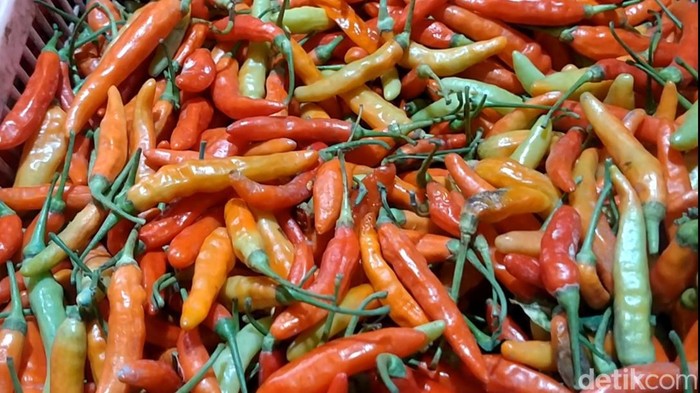Harga cabai rawit merah atau cabai setan di Pasar Kajen Pekalongan jelang Ramadan merangkak naik. Terpantau pada Rabu (2/3/2022) harga cabai rawit merah Rp 60 ribu/kg
