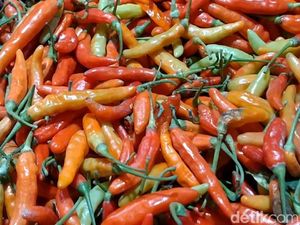 Pemkot Makassar Akan Gelar Operasi Pasar Imbas Harga Cabai Rawit Rp 75.000/Kg