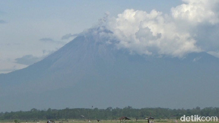 Gunung Semeru kembali memuntahkan awan panas guguran.