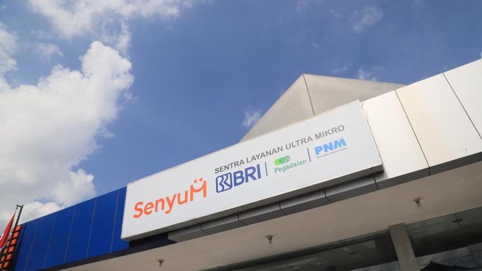 Layanan Holding Ultra Mikro