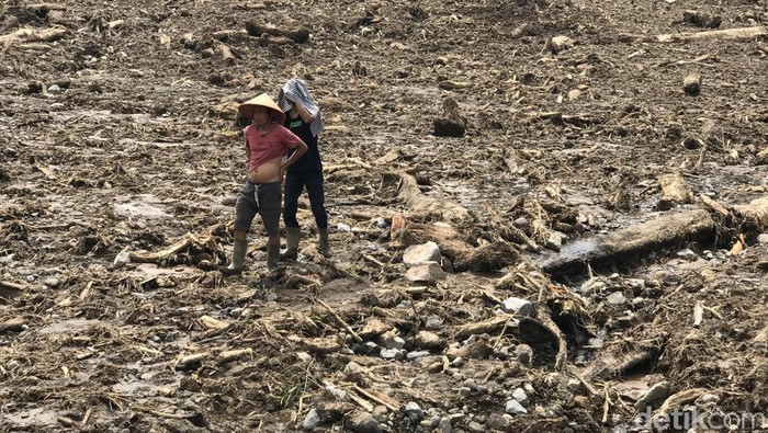 Momen Tim SAR Gabungan Temukan Jasad Korban Gempa Pasaman Tim SAR gabungan menemukan satu korban tewas longsor di Nagari Malampah, Kecamatan Tigo Nagari, Kabupaten Pasaman, Sumbar Rabu (2/3/2022) pagi.