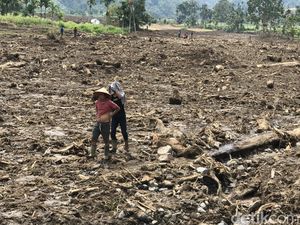 Evakuasi Berlanjut, Basarnas Cari 4 Korban Gempa di Pasaman Sumbar