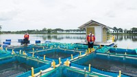 Pemanfaatan lahan pascatambang tanah liat menjadi keramba ikan yang di kelola masyarakat sekitar Pabrik Tuban, Jawa Timur. PT Semen Indonesia menerapkan teknik reklamasi sistem alur di lahan pascatambang pabrik Tuban, Jawa Timur. Sistem tersebut lebih efisien dibandingkan reklamasi yang dilakukan pada umumnya.