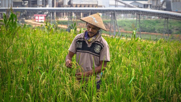 Semen indonesia SIG Bukukan Pendapatan Tahun 2021