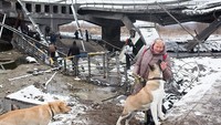 Invasi Rusia ke Ukraina sudah memasuki tujuh hari sejak Kamis (24/2) hingga Rabu (2/3) ini. Rusia kembali membombardir ibu kota Ukraina, Kiev.  