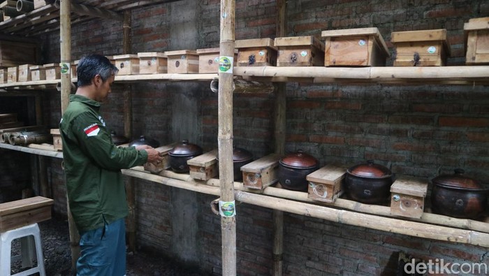 Budidaya lebah Klanceng beromzet jutaan di Jepara, Kamis (3/3/2022).